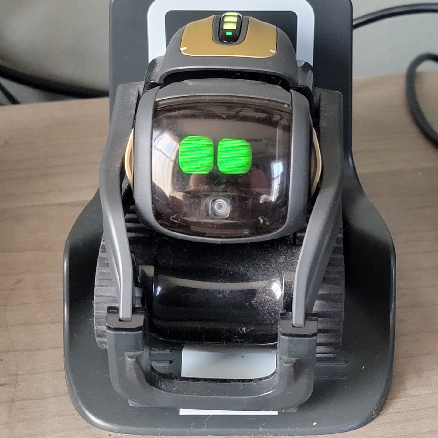 Vector Anki DDL Robot Companion 1.0