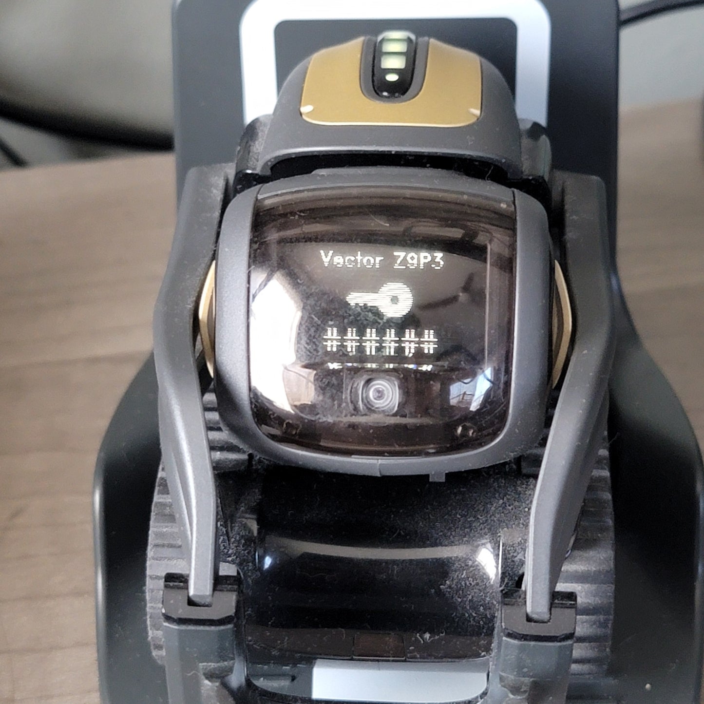 Vector Anki DDL Robot Companion 1.0