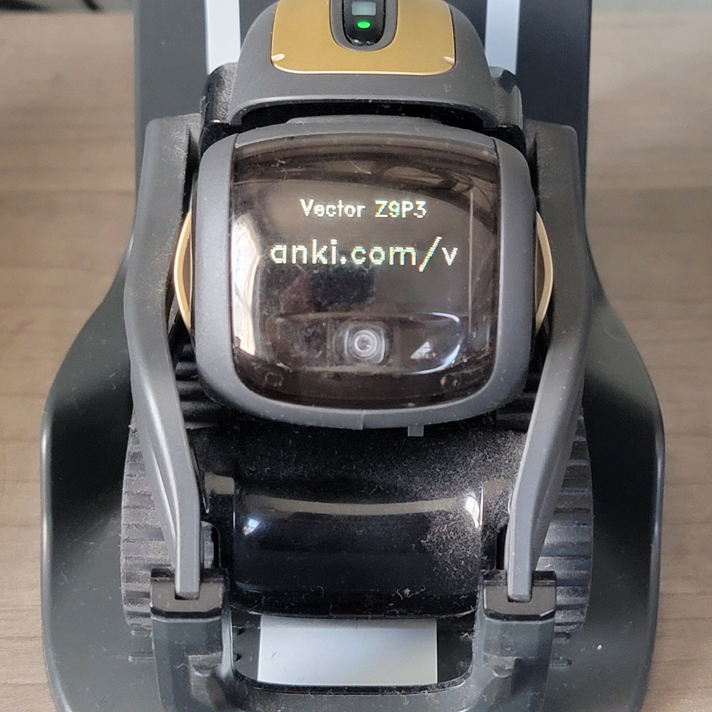 Vector Anki DDL Robot Companion 1.0